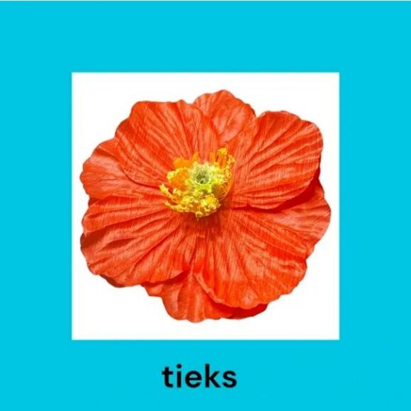 Tieks Poppy Flower Box Topper Flower Design - Picture 1 of 3